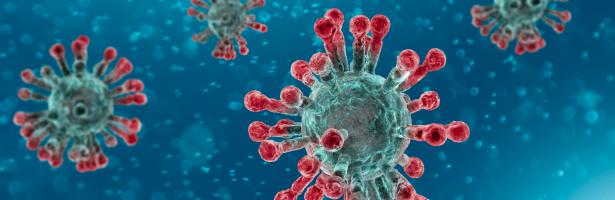 Coronavirus – Quelques conseils pour chercher du travail en période de confinement